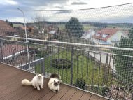 Cat Safety Net by the m² (Custom-Made) | Safetynet365