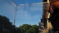 Extra Strong Cat Safety Net, Custom-Made | Safetynet365