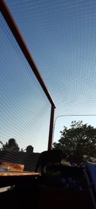 Cat Safety Net by the m² (Custom-Made) | Safetynet365