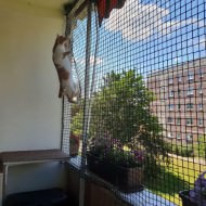 Extra Strong Cat Safety Net, Custom-Made | Safetynet365