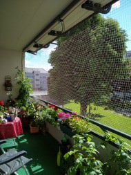 Bird Guard Netting by the m² (Made to Measure) | Safetynet365