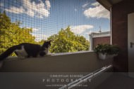 Cat Safety Net by the m² (Custom-Made) | Safetynet365