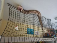 Loft Safety Net by the m² (Custom-Made) | Safetynet365