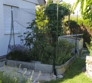 Pigeon Protection Net, by the m² (Custom-Made) | Safetynet365