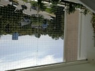 Pigeon Protection Net by the m² (Custom-Made) | Safetynet365