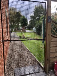 Extra Strong Cat Safety Net, Custom-Made | Safetynet365