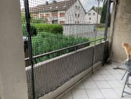 Extra Strong Cat Safety Net, Custom-Made | Safetynet365