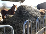 Hay Feeding Net by the m² (Custom-Made) | Safetynet365