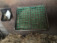 Hay Feeding Net by the m² (Custom-Made) | Safetynet365