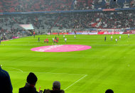 Soccer Stadium Net by the m², Ball Stop behind the Goal | Safetynet365