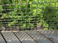 Balcony Safety Net for Children (Custom-Made) | Safetynet365