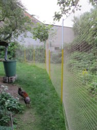 Bird Protection Net with Border, by the m² (Custom-Made) | Safetynet365