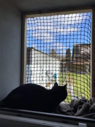 Extra Strong Cat Safety Net, Custom-Made | Safetynet365