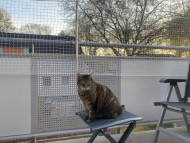 Cat Safety Net by the m² (Custom-Made) | Safetynet365