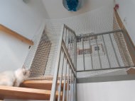 Extra Strong Cat Safety Net, Custom-Made | Safetynet365