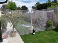 Net by Square Meter (Made to Measure) 2.3/30 mm | Safetynet365