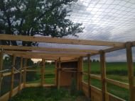 Poultry Net for chicken pens, Custom-Made, Black | Safetynet365