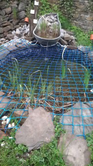 Pond Covering Net by the m² (Custom-Made) | Safetynet365