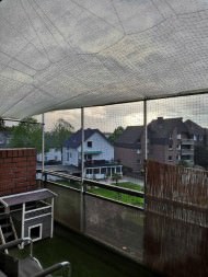 Privacy Netting - 50% - by the m² (Custom-Made) | Safetynet365