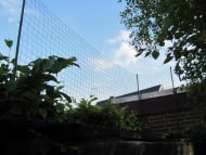 Pigeon Protection Net by the m² (Custom-Made) | Safetynet365