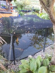 Custom-Made Foliage Protection Net against leaves | Safetynet365