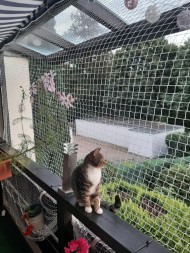 Cat Safety Net by the m² (Custom-Made) | Safetynet365