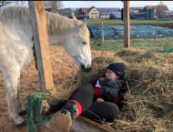 Hay Feeding Net by the m² (Custom-Made) | Safetynet365