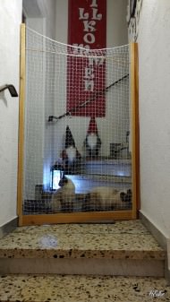 Cat Safety Net by the m² (Custom-Made) | Safetynet365