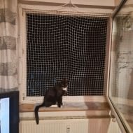 Cat Safety Net by the m² (Custom-Made) | Safetynet365