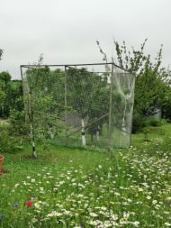 Bird Protection Net with Border, by the m² (Custom-Made) | Safetynet365