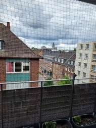 Pigeon Protection Net by the m² (Custom-Made) | Safetynet365