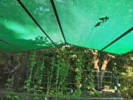 Windscreen Net for Home, Garden & Sports | Safetynet365