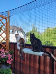 Cat Safety Net by the m² (Custom-Made) | Safetynet365