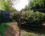 Poultry Net by the m² (Made to Measure), Black | Safetynet365