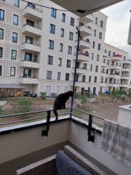 Cat Safety Net by the m² (Custom-Made) | Safetynet365