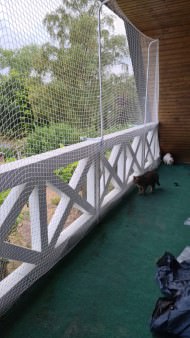 Cat Net by the m² (Made to Measure) | Safetynet365