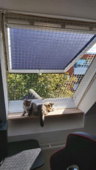 Cat Safety Net by the m² (Custom-Made) | Safetynet365