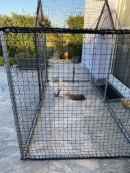 Cat Safety Net by the m² (Custom-Made) | Safetynet365