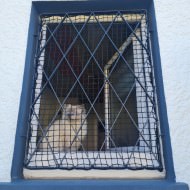 Extra Strong Cat Safety Net, Custom-Made | Safetynet365