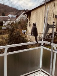 Cat Safety Net by the m² (Custom-Made) | Safetynet365