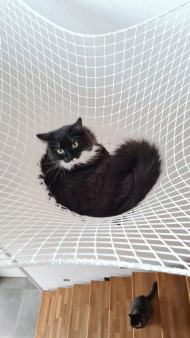 Extra Strong Cat Safety Net, Custom-Made | Safetynet365