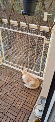 Cat Safety Net by the m² (Custom-Made) | Safetynet365