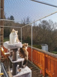 Cat Net by the m² (Made to Measure) | Safetynet365