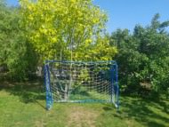 Soccer Goal Net With Club Colors | Safetynet365