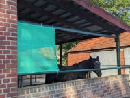 Windscreen Net for Home, Garden & Sports | Safetynet365