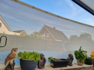 Windscreen Net for Home, Garden & Sports | Safetynet365