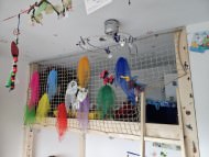 Loft Safety Net by the m² (Custom-Made) | Safetynet365