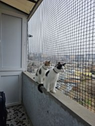 Extra Strong Cat Safety Net, Custom-Made | Safetynet365