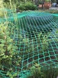 Pond Cover Net (Fall Safety Net), Made to Measure | Safetynet365