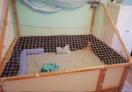 Loft Safety Net by the m² (Custom-Made) | Safetynet365